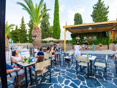 Camping L'Orangeraie  - Camping Castellón - Image N°33