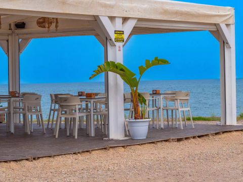 Camping L'Orangeraie  - Camping Castellón - Image N°16