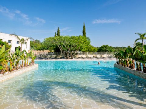 Camping L'Orangeraie  - Camping Castellón - Image N°11