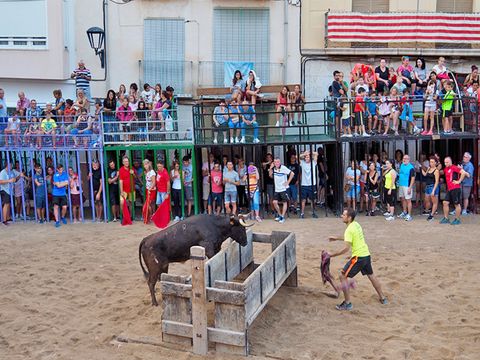 Camping L'Orangeraie  - Camping Castellón - Image N°6