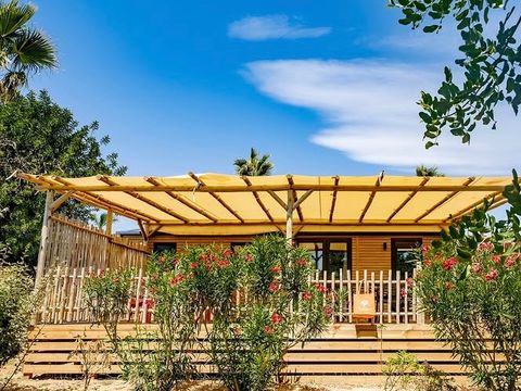 Camping L'Orangeraie - Camping Paradis - Camping Castellón - Image N°20