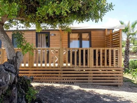 Camping L'Orangeraie - Camping Paradis - Camping Castellón - Image N°31