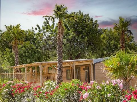 Camping L'Orangeraie - Camping Paradis - Camping Castellón - Image N°29