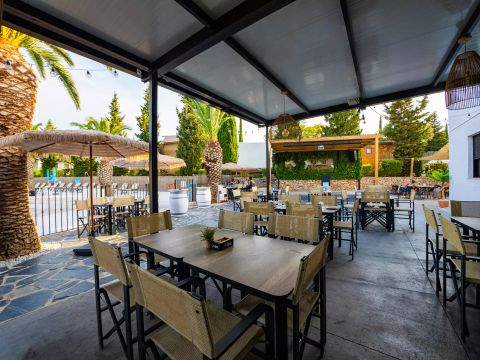 Camping L'Orangeraie  - Camping Castellón - Image N°32