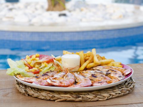 Camping L'Orangeraie - Camping Paradis - Camping Castellón - Image N°5