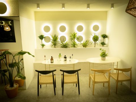 Camping L'Orangeraie  - Camping Castellón - Image N°4