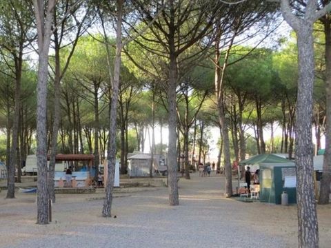 Emplacement - Pour Caravane et Camping Car