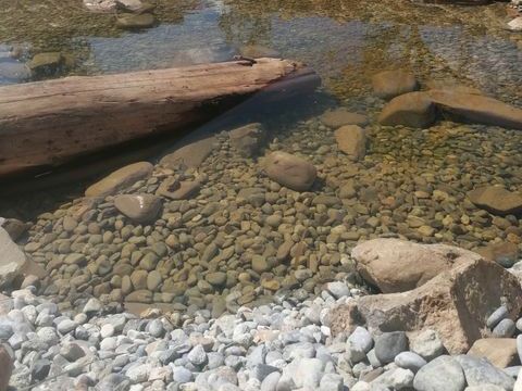 MOBILHOME 4 personnes - Mobil-home Premium 29m² 2 chambres + terrasse 21m² + TV + LV + Clim + plancha 4 pers Mobil-home Premium 29m² 2 chambres + terrasse 21m² + TV + LV + Clim + plancha 4 pers