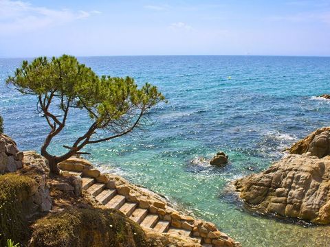 Camping Castell d'Aro - Camping Gérone - Image N°8