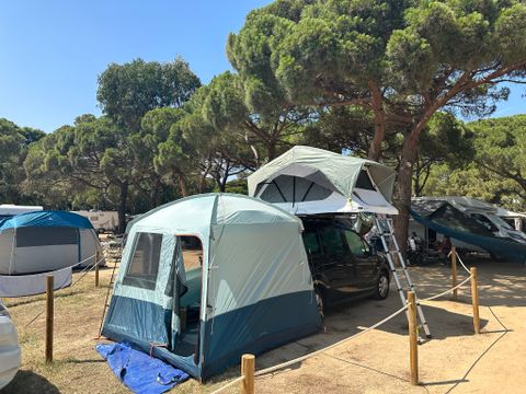 Emplacement - Standard: voiture + tente