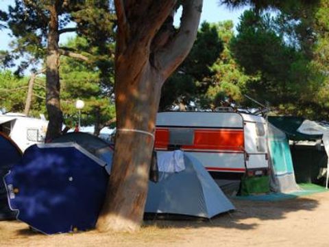Emplacement - Standard: voiture + tente