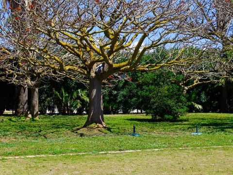 Emplacement - Grande tente