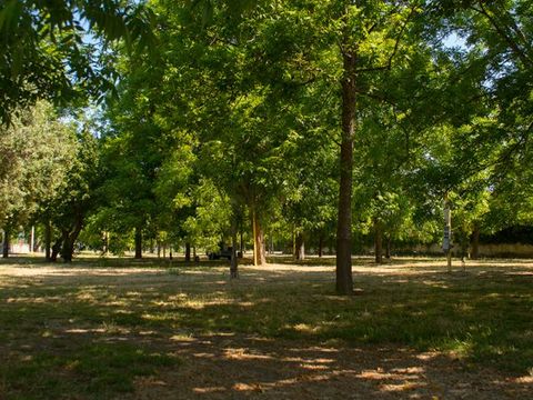 Almoetia Camping  - Camping Catane - Image N°11