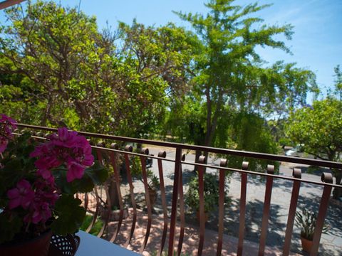 Almoetia Camping  - Camping Catane - Image N°8