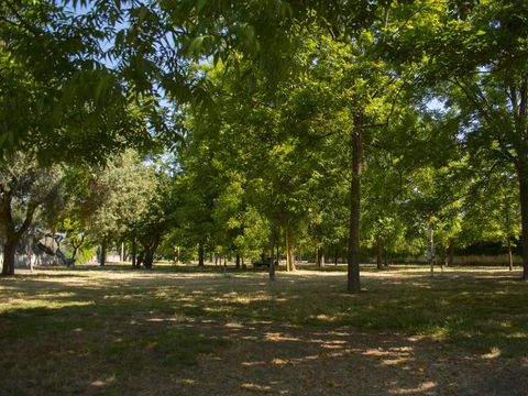 Almoetia Camping  - Camping Catane - Image N°6