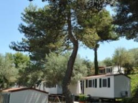 MOBILHOME 4 personnes - SUPERIOR