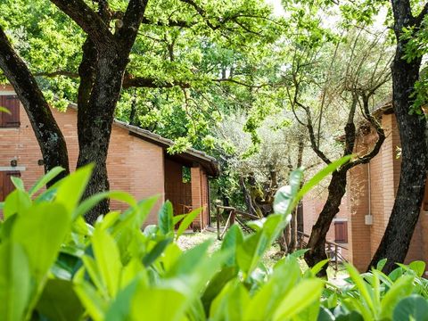 CHALET 4 personnes - Avec veranda