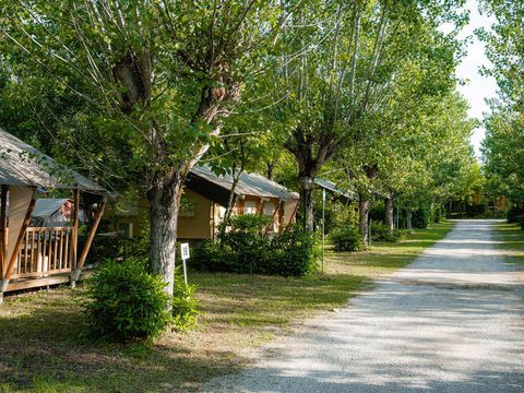 TENTE TOILE ET BOIS 6 personnes - Nomade