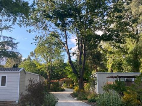 MOBILHOME 6 personnes - Premium - 3 chambres - TV - CLIM - PLANCHA