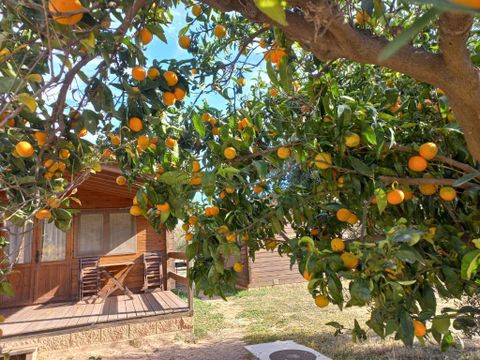 Camping Ecocamp Vinyols - Camping Tarragone - Image N°20