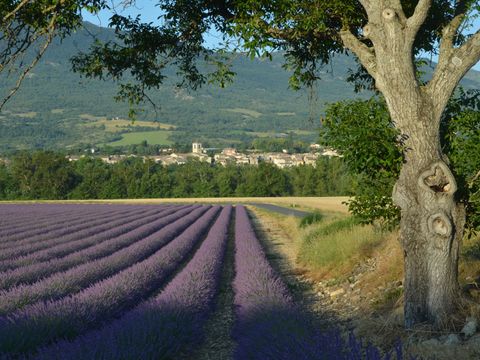 Camping Ushuaïa Villages Les Myotis - Camping Hautes-Alpes - Image N°9