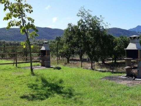 Camping La Naranja - Camping Valence - Image N°6
