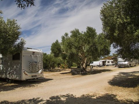 Camping Olivia Green - Camping Sibenij-Knin - Image N°26