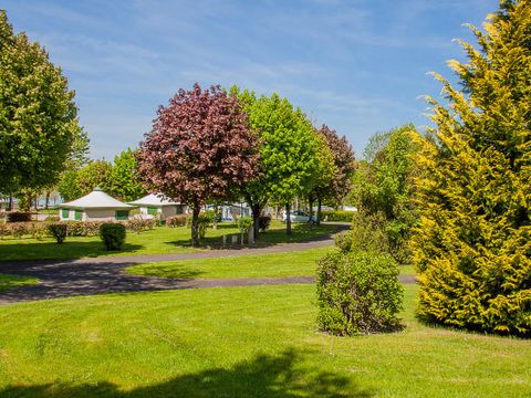 Camping Les Bruyères - Camping Saône-et-Loire - Image N°2