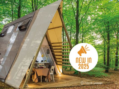 Lodge 4 personnes - Luxury Tent