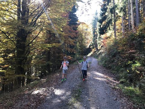 Kleinenzhof Family Resort - Camping Bade-Wurtemberg - Image N°24