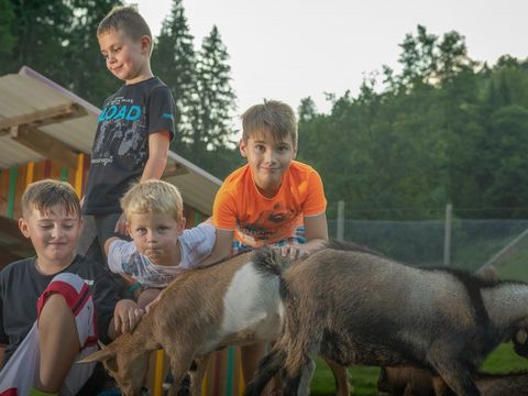 Kleinenzhof Family Resort - Camping Bade-Wurtemberg - Image N°4