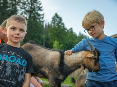 Kleinenzhof Family Resort - Camping Bade-Wurtemberg - Image N°7