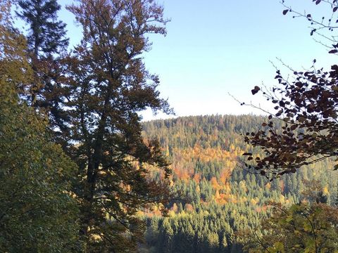 Kleinenzhof Family Resort - Camping Bade-Wurtemberg - Image N°27