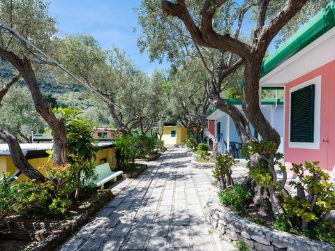 BUNGALOW 4 personnes - Bungalow