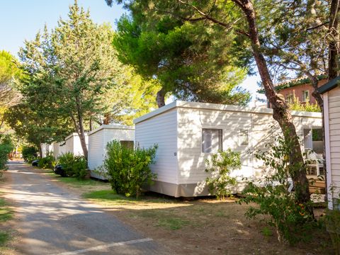MOBILHOME 4 personnes - Sunêlia PRESTIGE Figuier