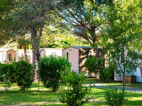 MOBILHOME 4 personnes - SUNÊLIA PRESTIGE OLIVIER