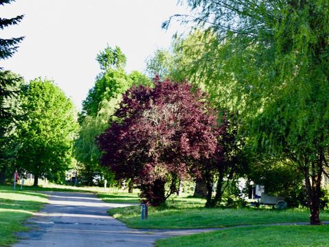 Camping Ile d'Amour - Camping Yonne - Image N°25