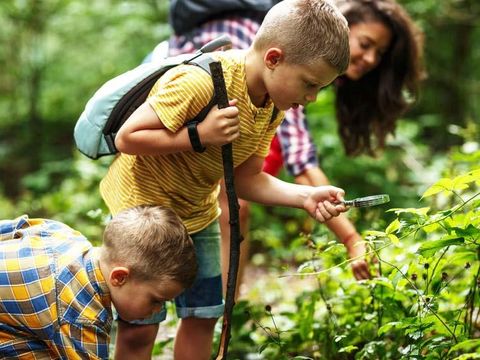 Camping Ile d'Amour - Camping Yonne - Image N°48