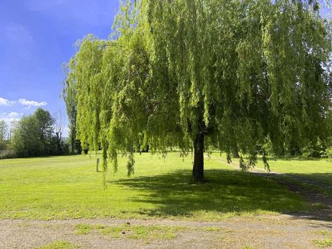 Camping Ile d'Amour - Camping Yonne - Image N°4