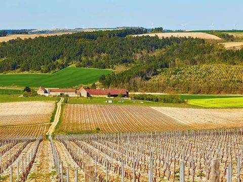 Camping Ile d'Amour - Camping Yonne - Image N°59