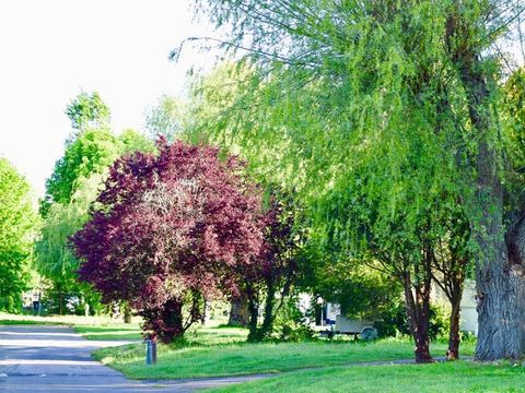 Camping Ile d'Amour - Camping Yonne - Image N°12