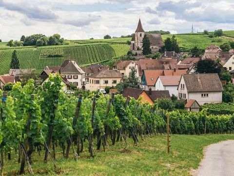 Camping Ile d'Amour - Camping Yonne - Image N°55