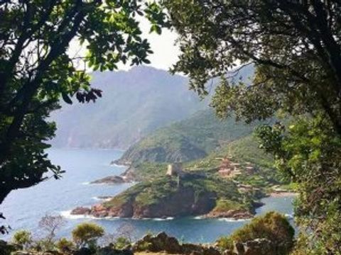 Camping Domaine Petra Pinzuta - Camping Corse du Nord - Image N°7
