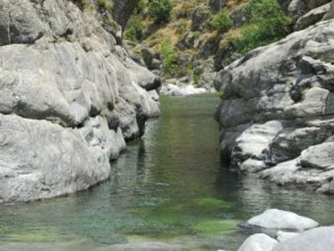 Camping Domaine Petra Pinzuta - Camping Corse du Nord - Image N°11