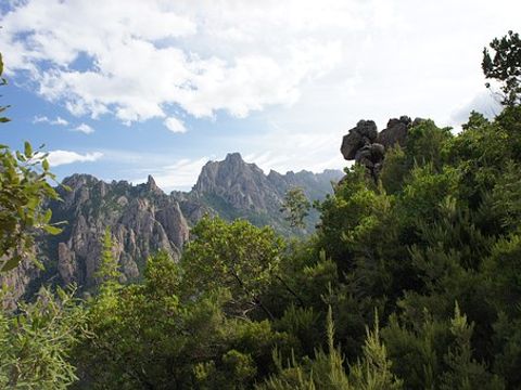 Camping Domaine Petra Pinzuta - Camping Corse du Nord - Image N°9