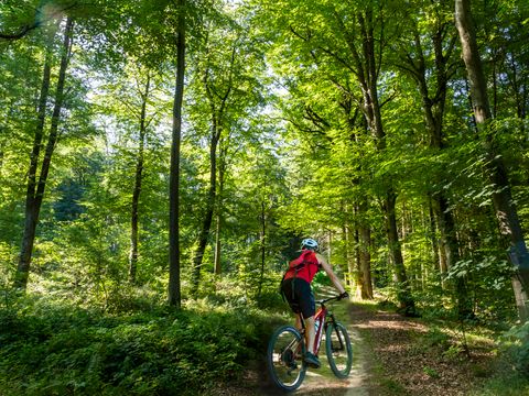 Hu Birkelt Village Hu Birkelt Village - Camping Luxembourg - Image N°30