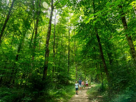 Hu Birkelt Village Hu Birkelt Village - Camping Luxembourg - Image N°29