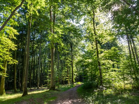 Hu Birkelt Village - Camping Luxembourg - Image N°48