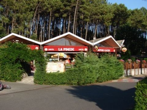 Les Cottages de Leon - Camping Landes - Image N°6