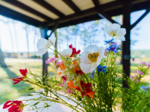 Les Cottages de Leon - Camping Landes - Image N°26